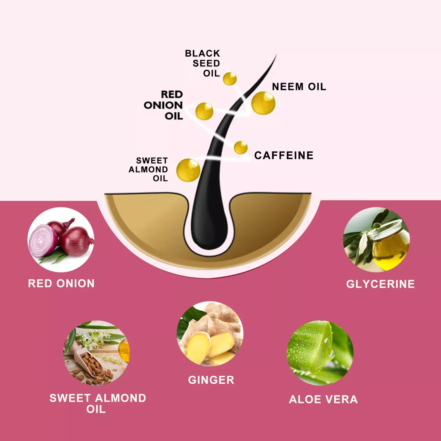 Red Onion Black Seed Hair Oil